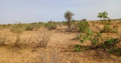 Terrain 6,8 ha à Vendre — Nguidila, Louga