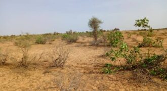 Terrain 6,8 ha à Vendre — Nguidila, Louga