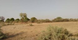 Terrain 6.928 m² à vendre – Tataguine, Fatick
