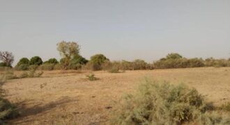 Terrain 6.928 m² à vendre – Tataguine, Fatick
