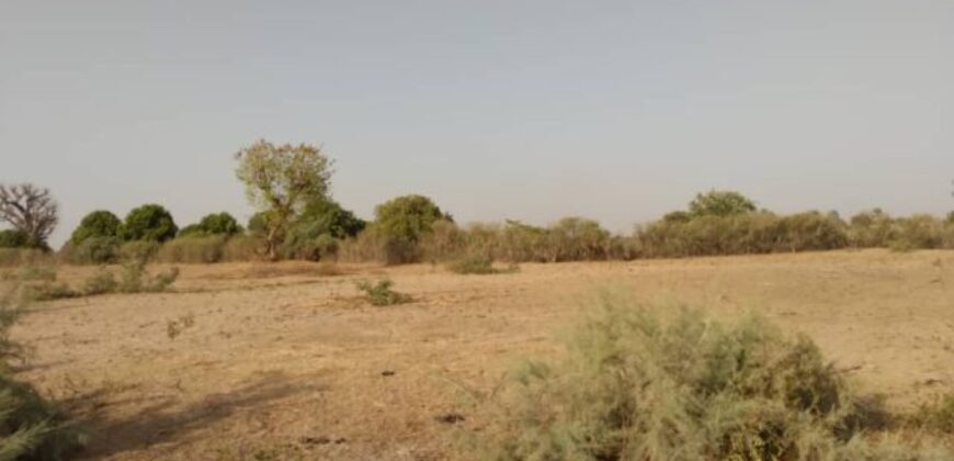 Terrain 6.928 m² à vendre – Tataguine, Fatick