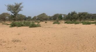 Terrain 6 ha Bord Route à Vendre — Touba Toul, Thiès
