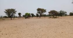 Terrain 7.067 m² à vendre – Tassette, Thiès