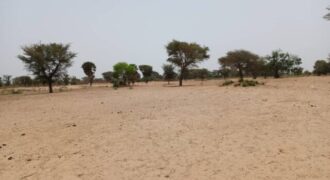 Terrain 7.067 m² à vendre – Tassette, Thiès