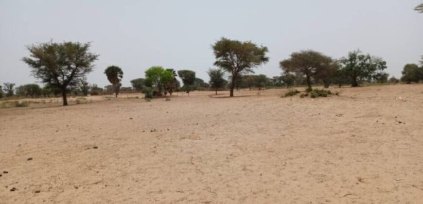 Terrain 7.067 m² à vendre – Tassette, Thiès