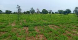 Terrain 7.089 m² à vendre – Ngabou Dalla, Diourbel