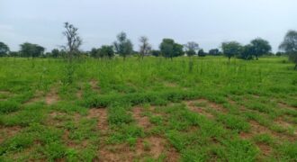 Terrain 7.089 m² à vendre – Ngabou Dalla, Diourbel