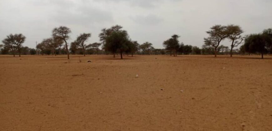 Terrain 7.130 m² à vendre à Touba Toul, Thiès