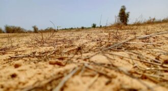 Terrain 7,36 ha à vendre – Kébémer, Louga