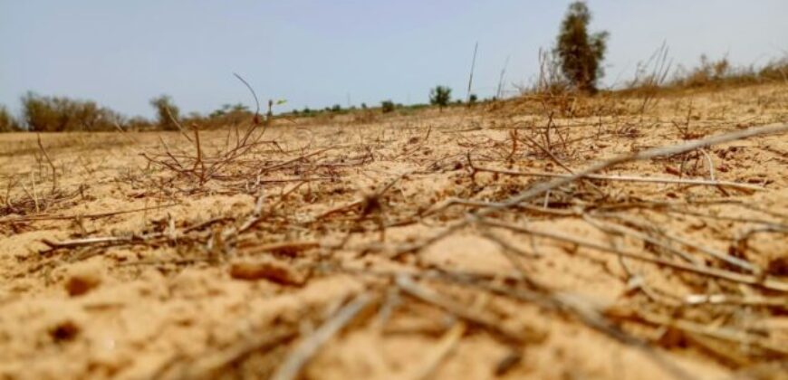 Terrain 7,36 ha à vendre – Kébémer, Louga