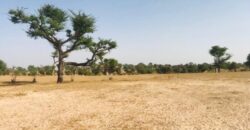 Terrain 7662 m² à Vendre — Thiénaba, Thiès