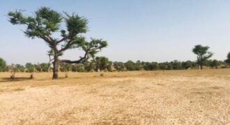 Terrain 7662 m² à Vendre — Thiénaba, Thiès