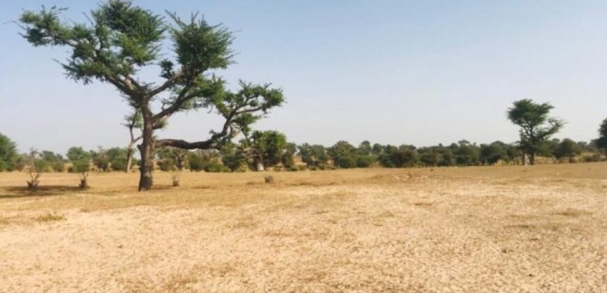 Terrain 7662 m² à Vendre — Thiénaba, Thiès