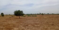 Terrain 7783 m² à Vendre — Tassette, Thiès