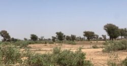 Terrain 7842 m² à Vendre — Notto Diobass, Thiès