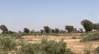 Terrain 7842 m² à Vendre — Notto Diobass, Thiès