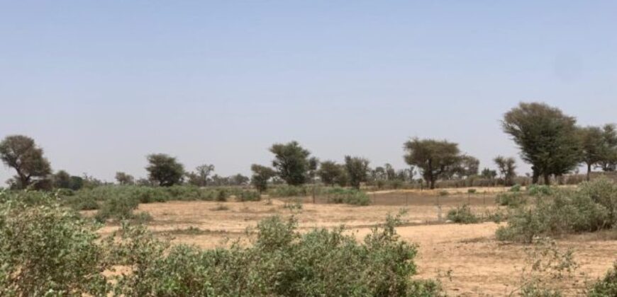 Terrain 7842 m² à Vendre — Notto Diobass, Thiès