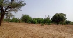 Terrain 7923 m² à Vendre — Tassette, Thiès