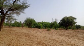 Terrain 7923 m² à Vendre — Tassette, Thiès