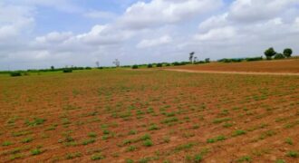 Terrain 7994 m² à Vendre — Notto Diobass, Thiès
