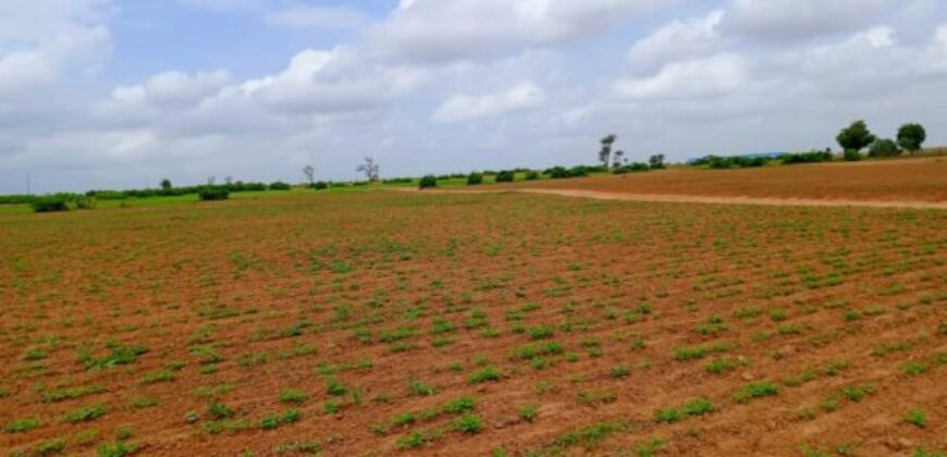 Terrain 7994 m² à Vendre — Notto Diobass, Thiès