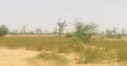 Terrain 7 ha à vendre – Nguéniène, Thiès