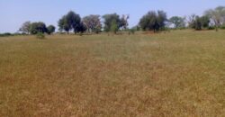 Terrain 8,28 ha à Vendre — Thiénaba, Thiès