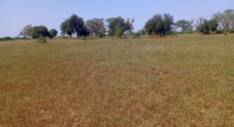 Terrain 8,28 ha à Vendre — Thiénaba, Thiès