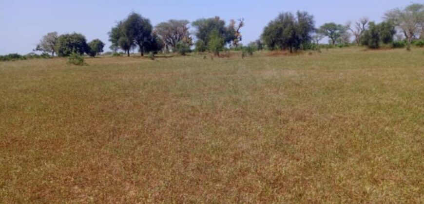 Terrain 8,28 ha à Vendre — Thiénaba, Thiès
