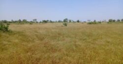 Terrain 8,77 ha à Vendre — Thiénaba, Thiès