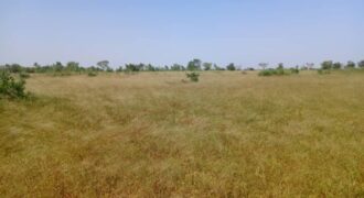 Terrain 8,77 ha à Vendre — Thiénaba, Thiès