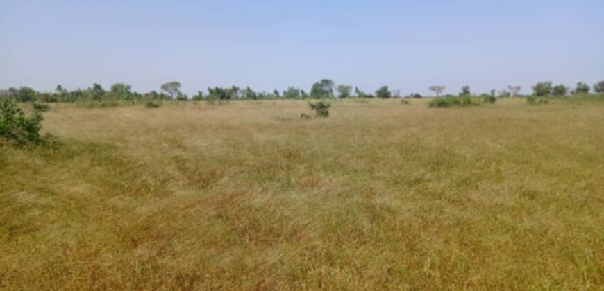 Terrain 8,77 ha à Vendre — Thiénaba, Thiès
