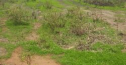 Terrain 8 ha à Vendre — Mbodiène, Thiès