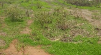 Terrain 8 ha à Vendre — Mbodiène, Thiès