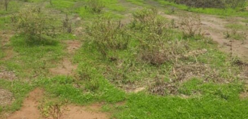 Terrain 8 ha à Vendre — Mbodiène, Thiès