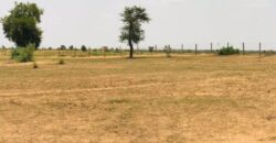 Terrain 8 ha à Vendre — Touba Toul, Thiès