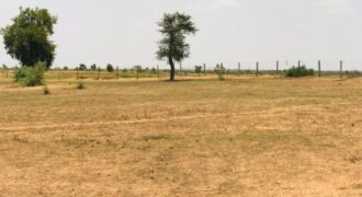 Terrain 8 ha à Vendre — Touba Toul, Thiès