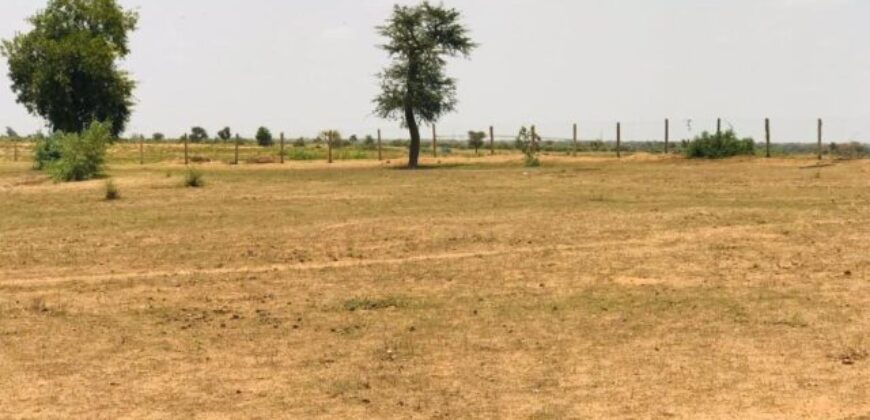 Terrain 8 ha à Vendre — Touba Toul, Thiès