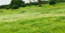 Terrain 8079 m² à Vendre — Notto Gouye Diama, Thiès