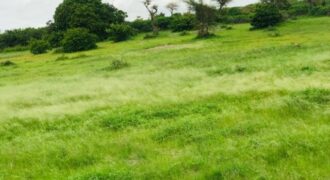 Terrain 8079 m² à Vendre — Notto Gouye Diama, Thiès