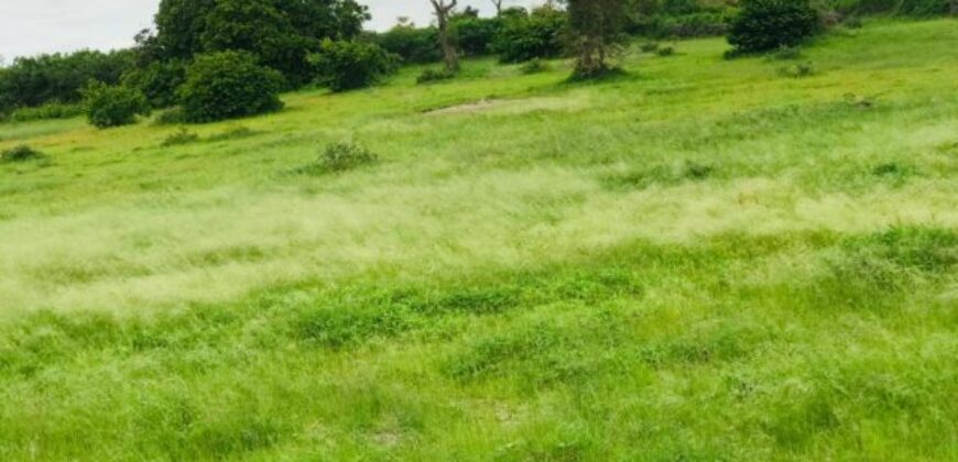 Terrain 8079 m² à Vendre — Notto Gouye Diama, Thiès