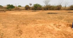 Terrain 8343 m² à Vendre — Keur Moussa, Thiès