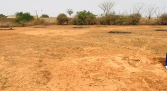 Terrain 8343 m² à Vendre — Keur Moussa, Thiès
