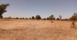 Terrain 8377 m² à Vendre — Tassette, Thiès