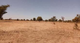 Terrain 8377 m² à Vendre — Tassette, Thiès