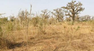 Terrain 8472 m² à Vendre — Chérif Lô, Thiès