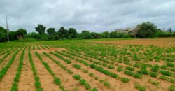 Terrain 8555 m² à Vendre — Keur Moussa, Thiès