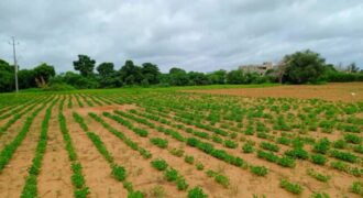Terrain 8555 m² à Vendre — Keur Moussa, Thiès