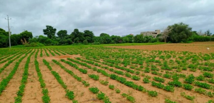Terrain 8555 m² à Vendre — Keur Moussa, Thiès