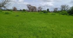 Terrain 8579 m² à Vendre — Notto Diobass, Thiès